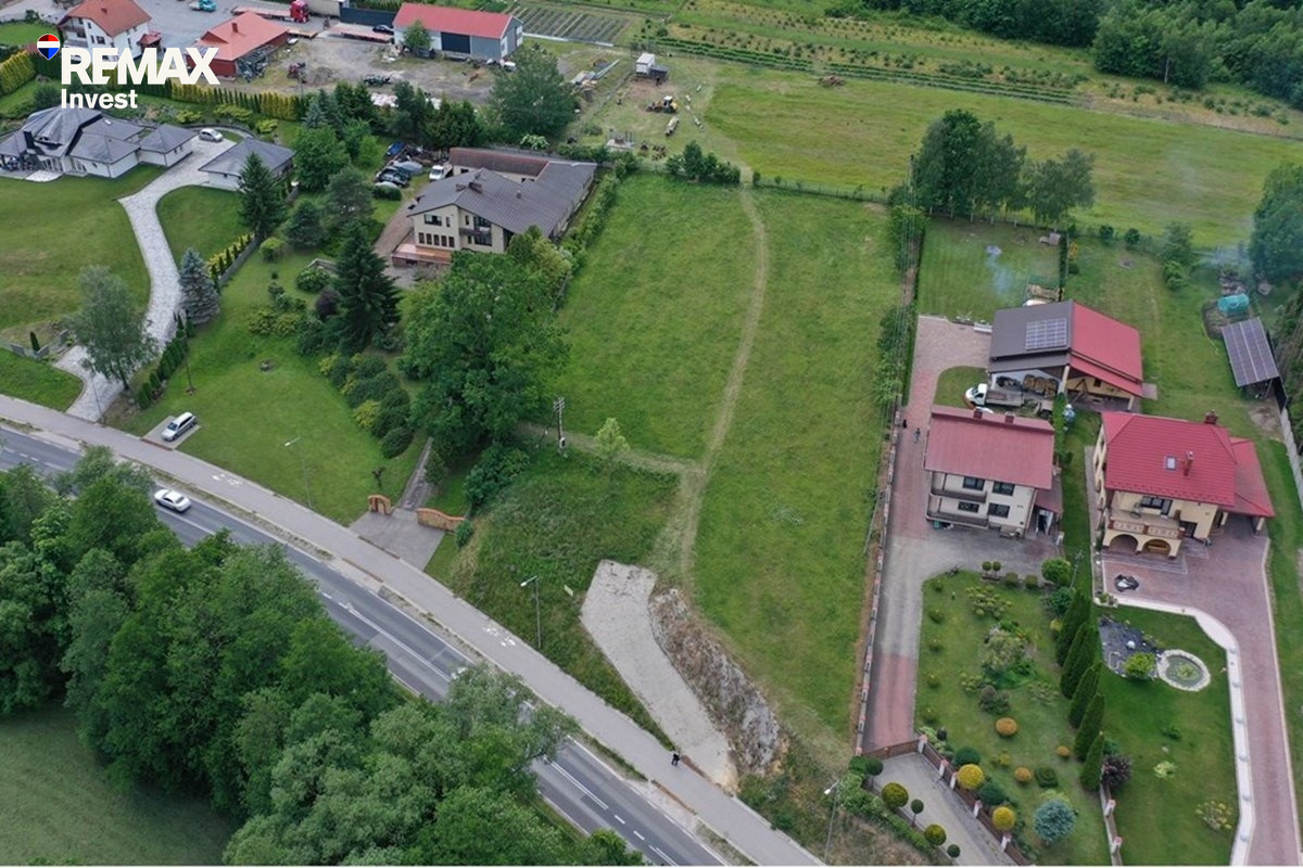 Zdjęcie 4
