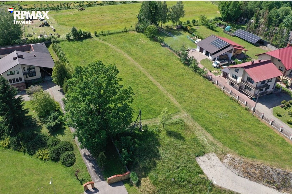 Zdjęcie 19