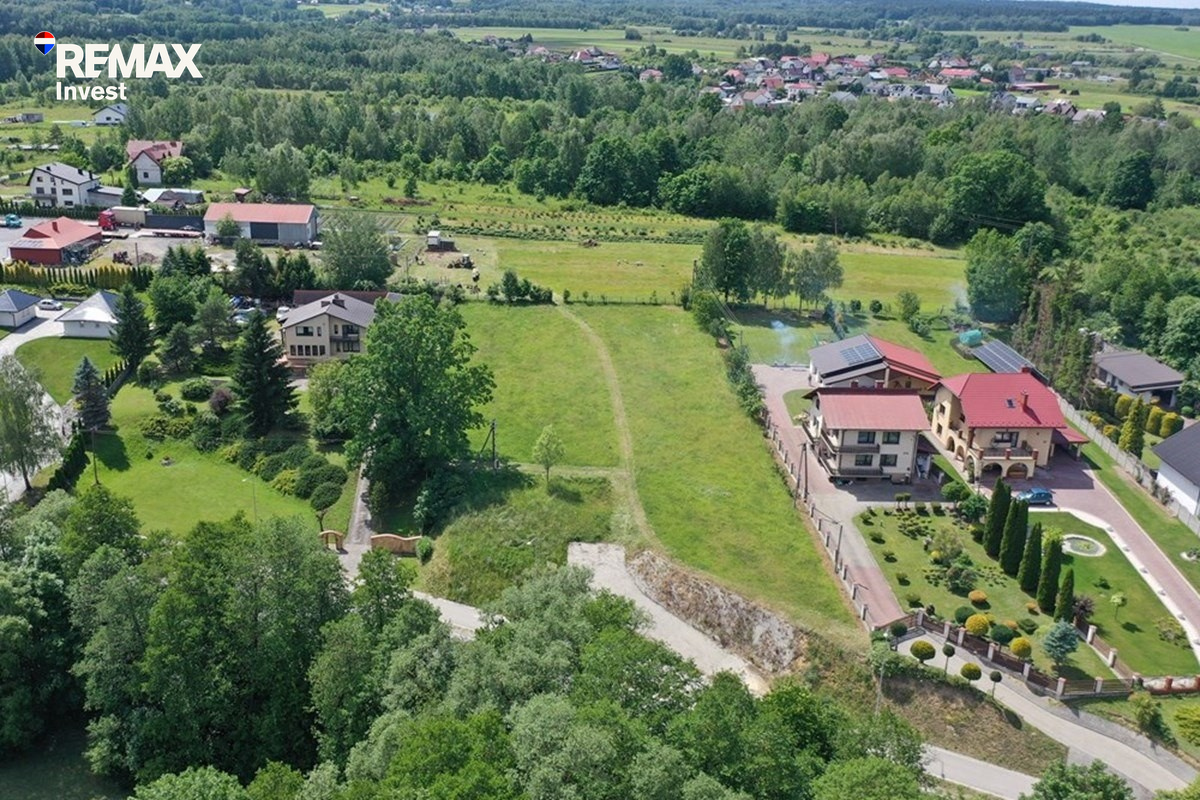 Zdjęcie 5