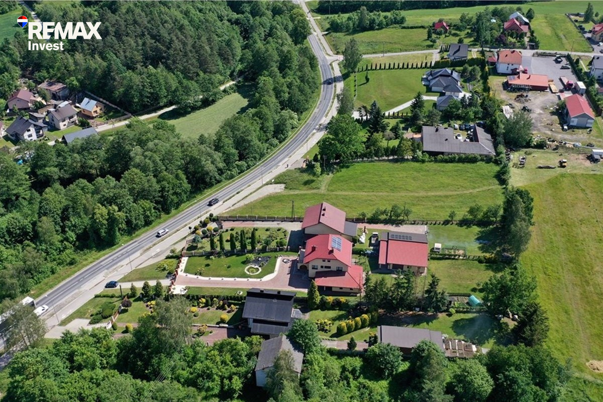 Zdjęcie 11