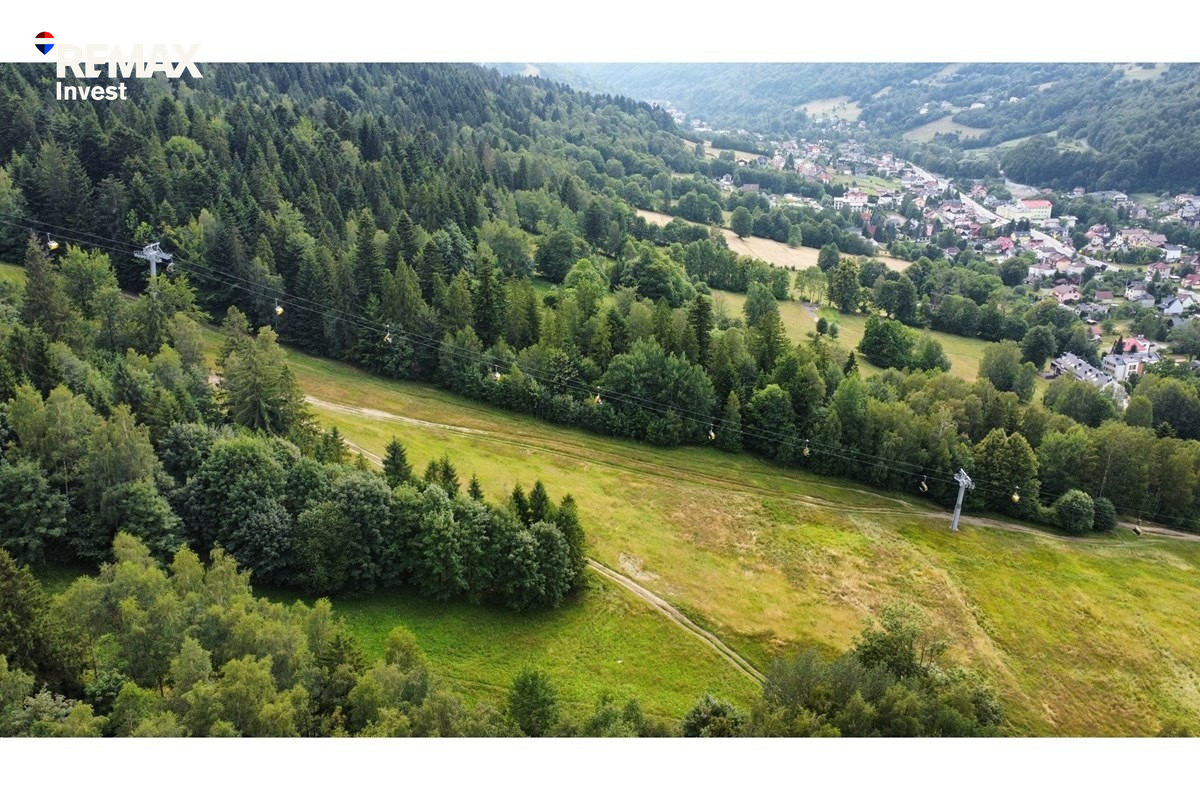 Zdjęcie 15