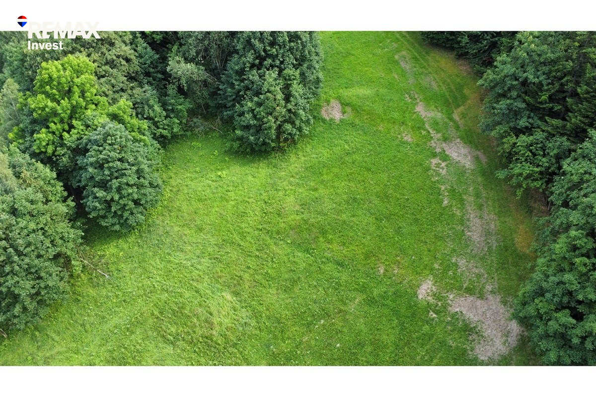 Zdjęcie 19
