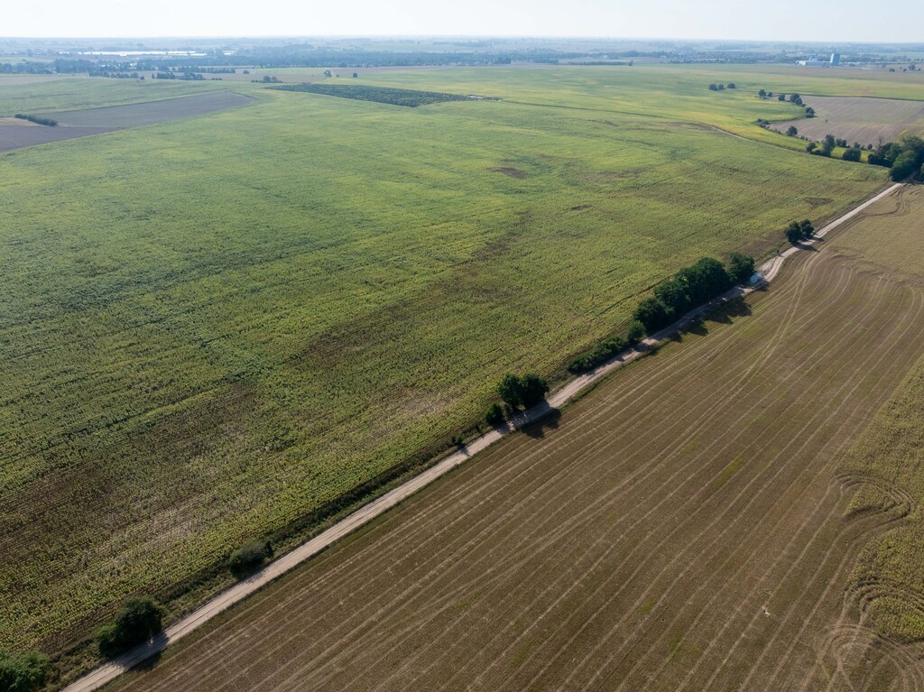 Zdjęcie 6