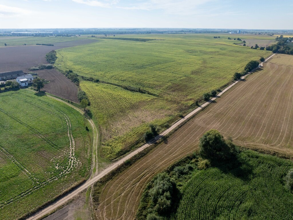 Zdjęcie 7