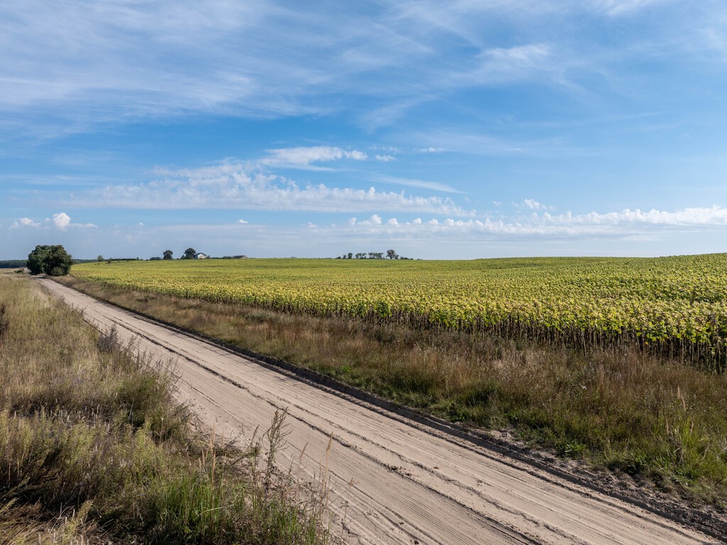 Zdjęcie 11