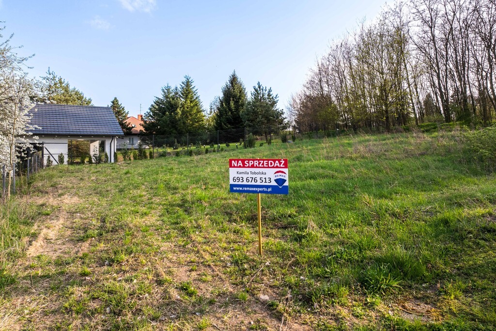 Zdjęcie 8