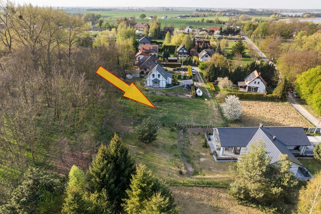 Zdjęcie 10