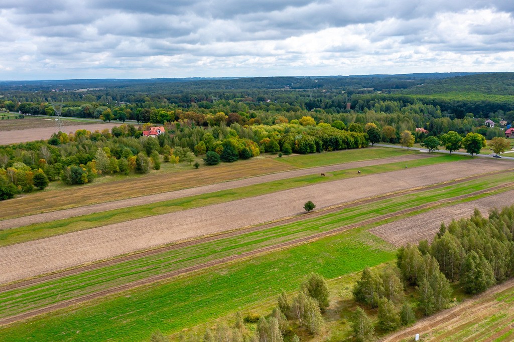 Zdjęcie 10