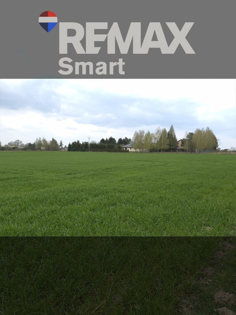 Zdjęcie 10