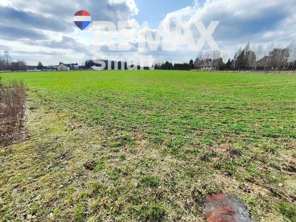 Zdjęcie 4