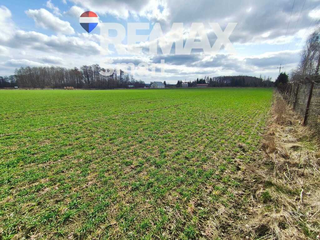 Zdjęcie 11
