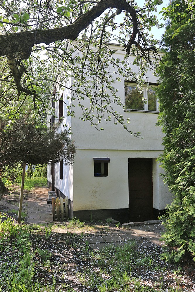 Zdjęcie 9