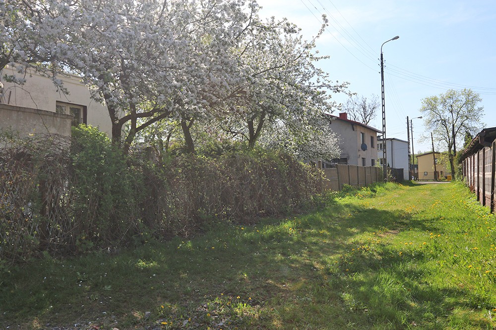 Zdjęcie 11