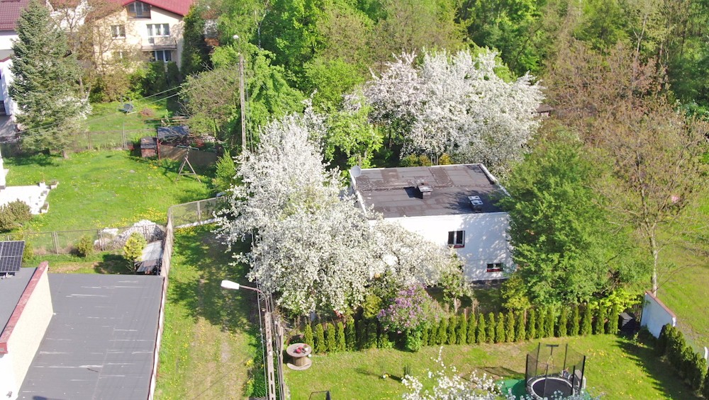 Zdjęcie 14
