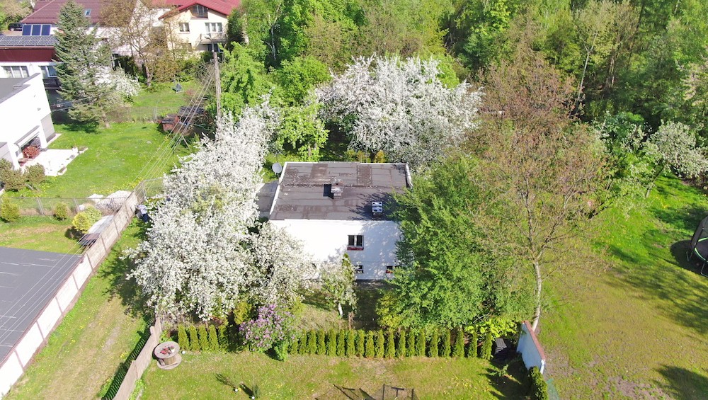 Zdjęcie 20