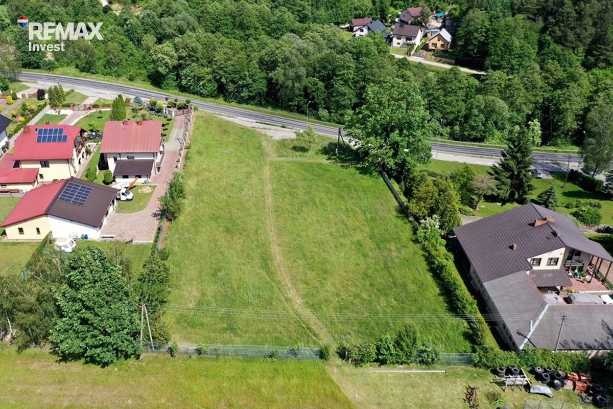 Zdjęcie 14