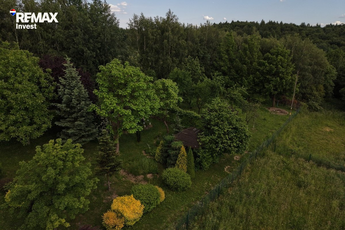 Zdjęcie 6