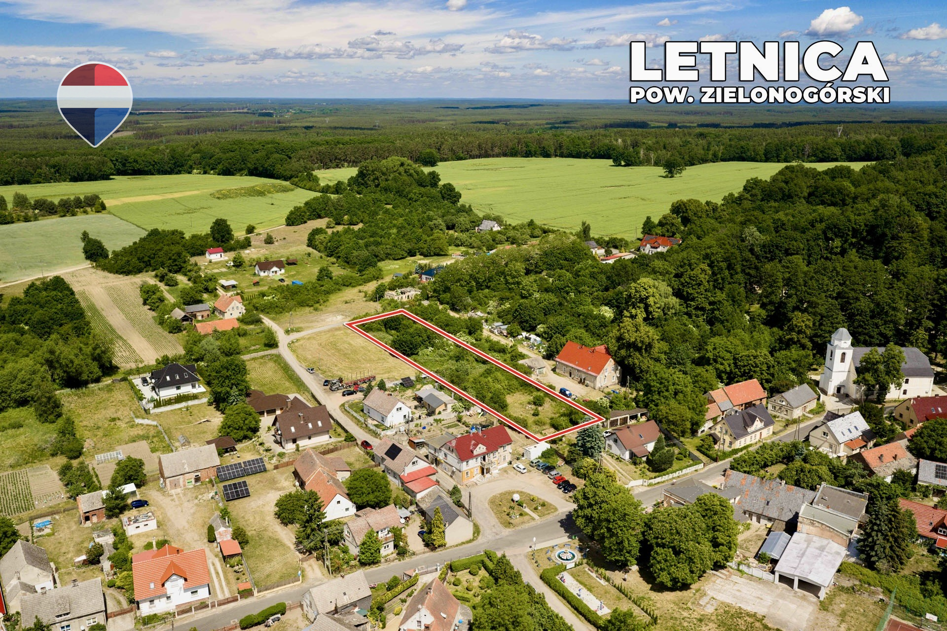 Zdjęcie 12