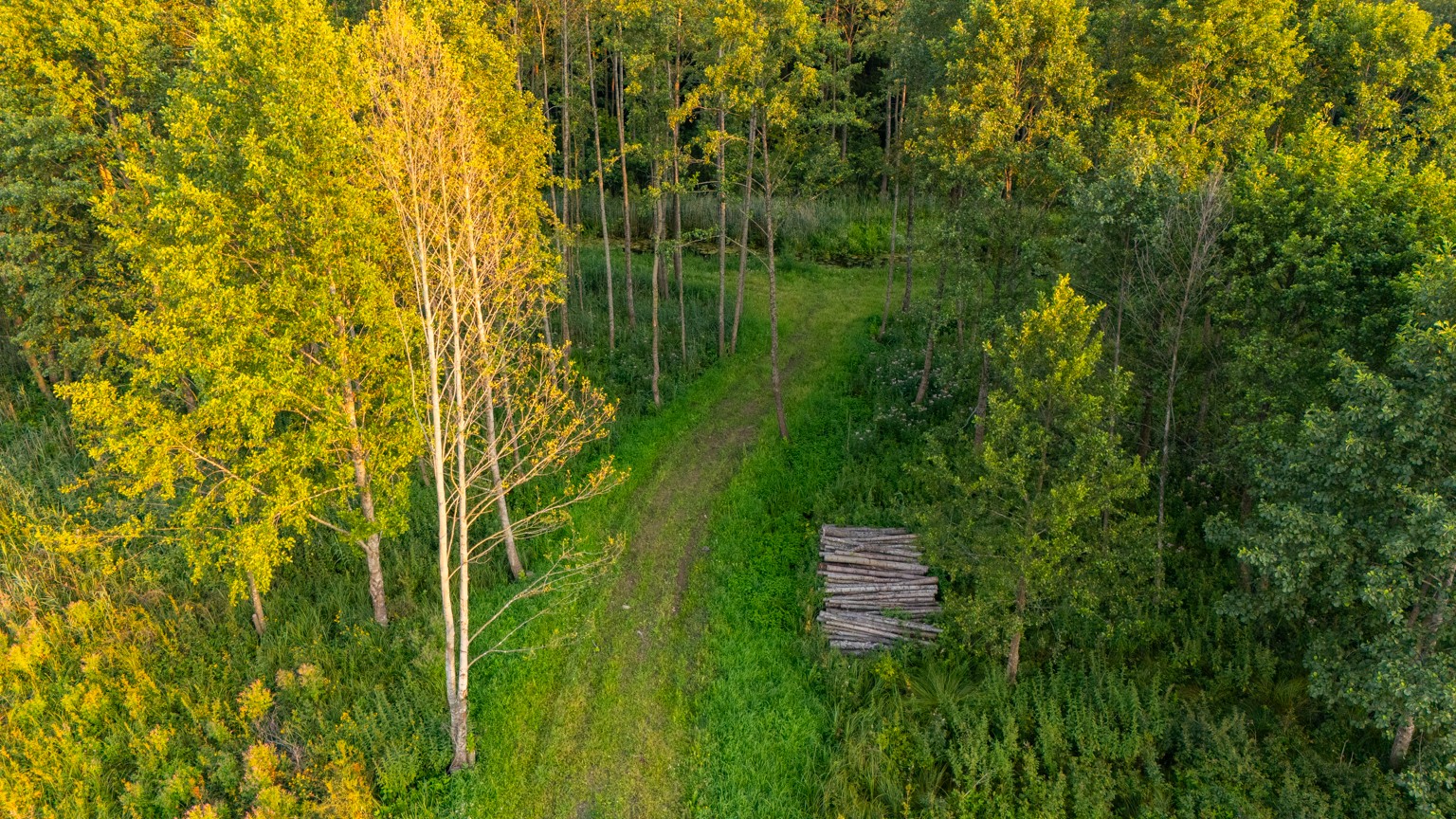 Zdjęcie 6