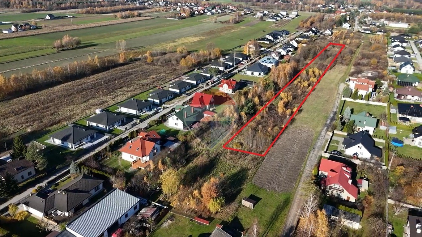Zdjęcie 4