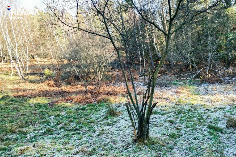 Zdjęcie 8