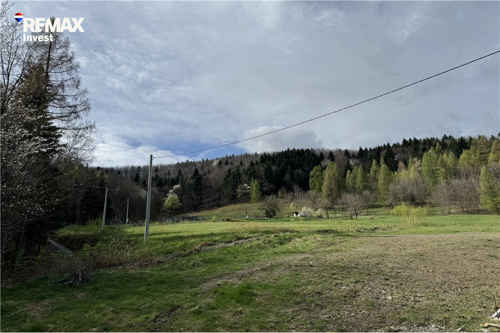 Zdjęcie 12