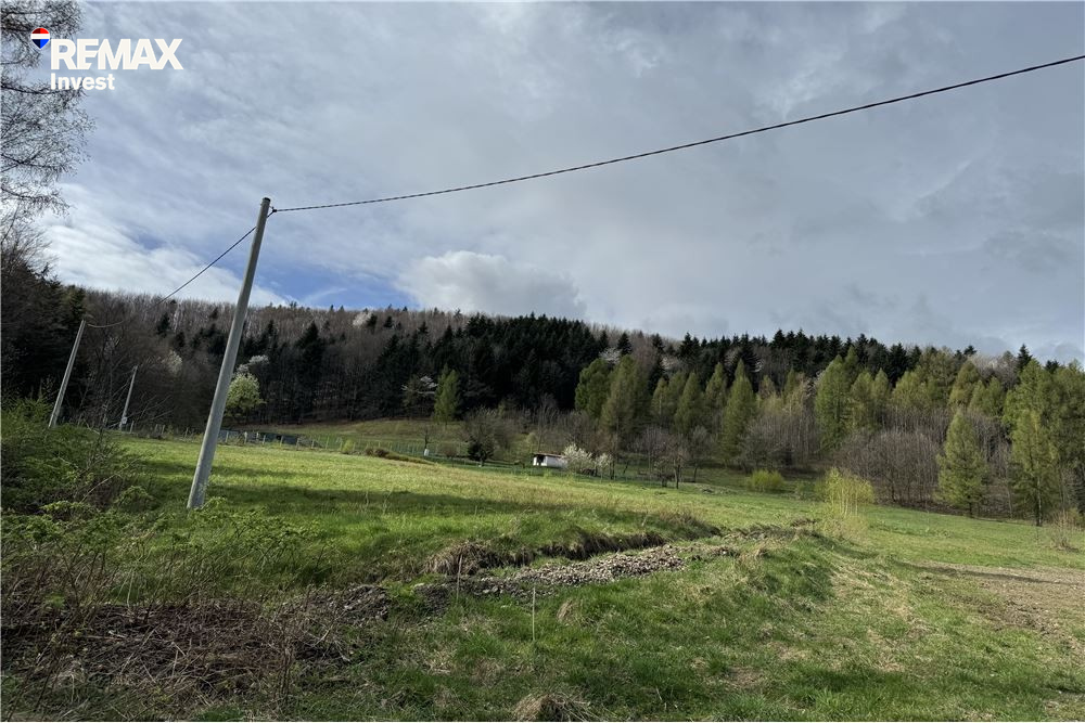 Zdjęcie 13