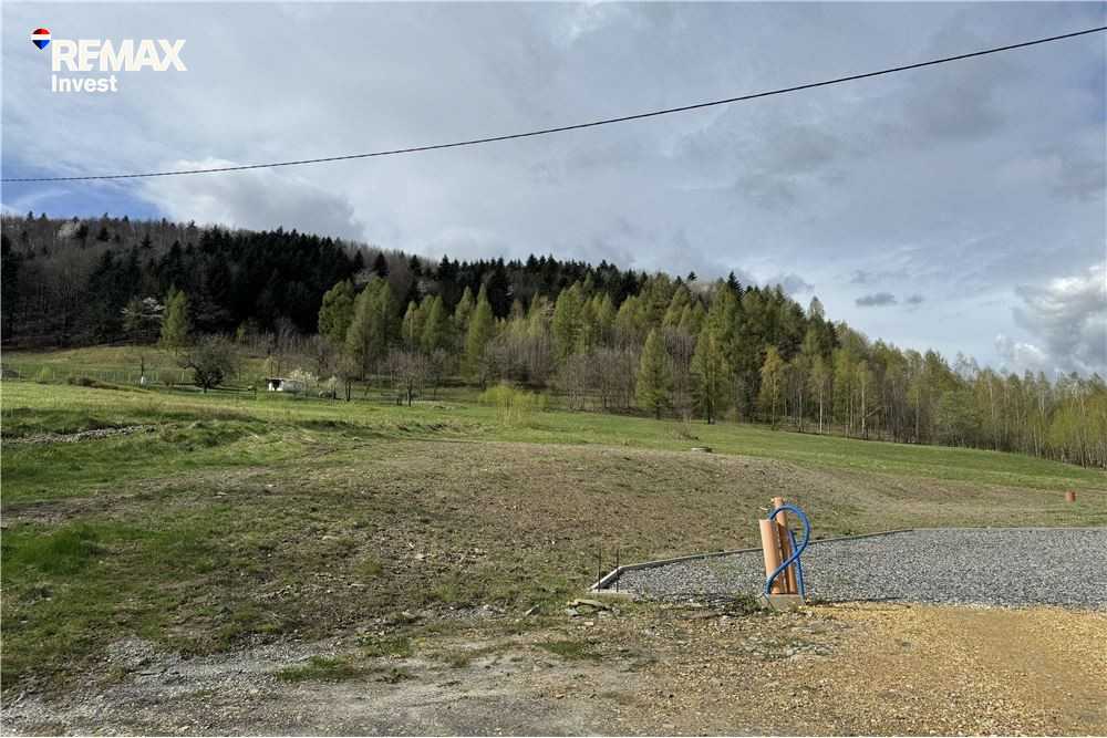 Zdjęcie 14