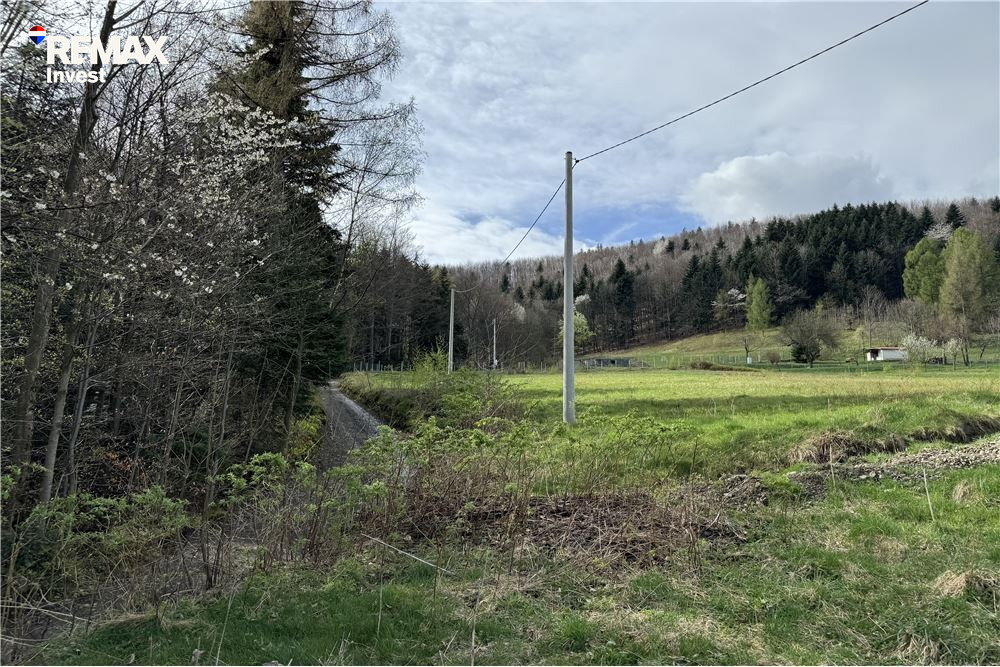 Zdjęcie 16