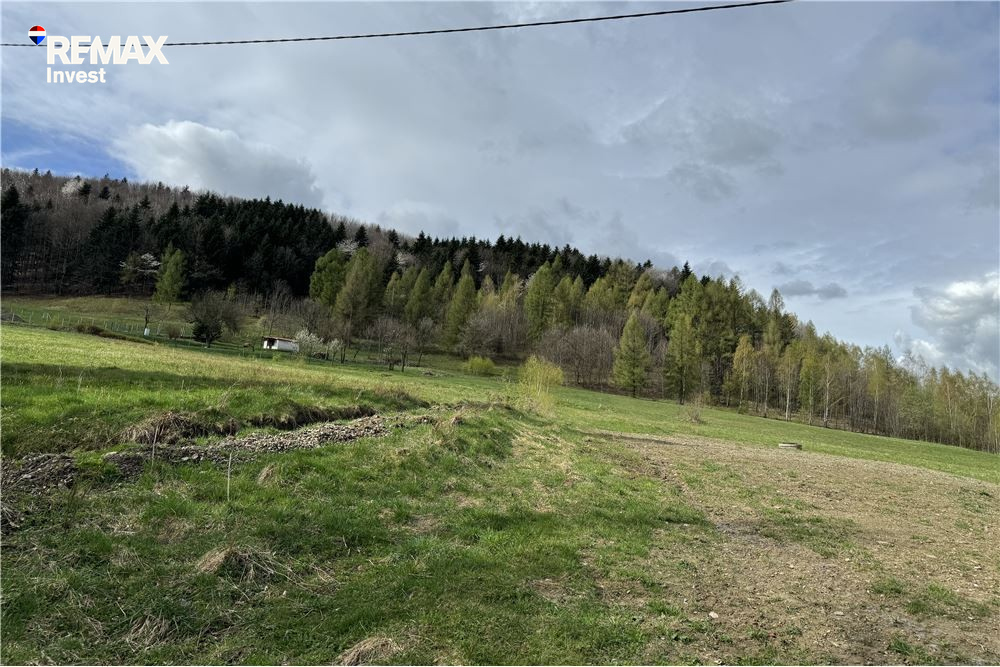 Zdjęcie 17