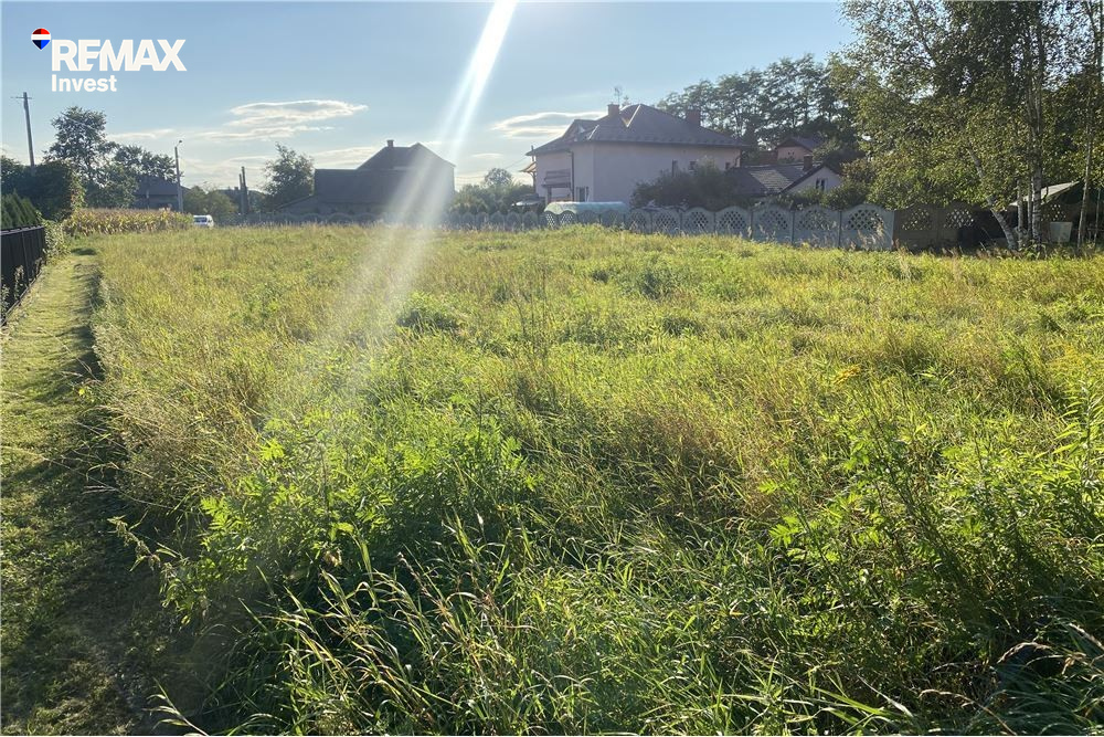 Zdjęcie 16