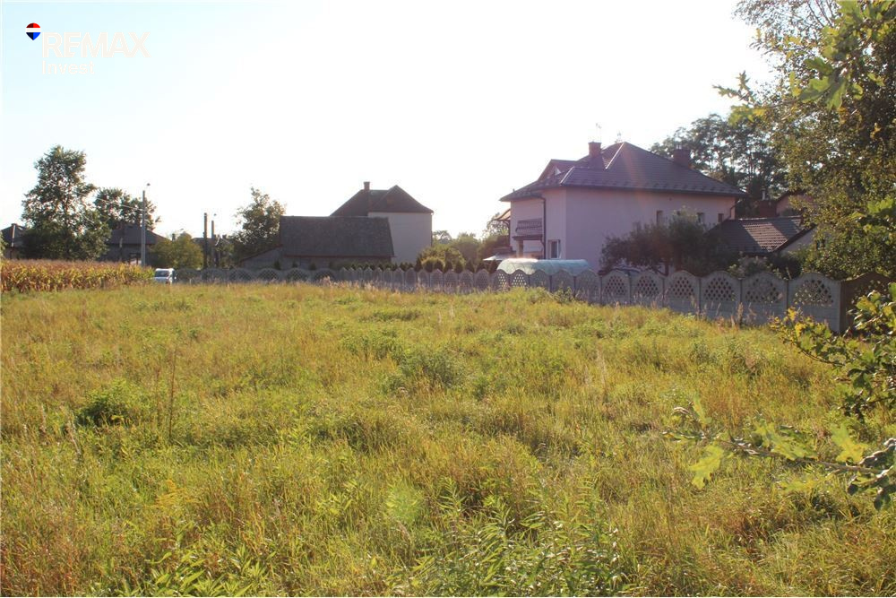 Zdjęcie 15