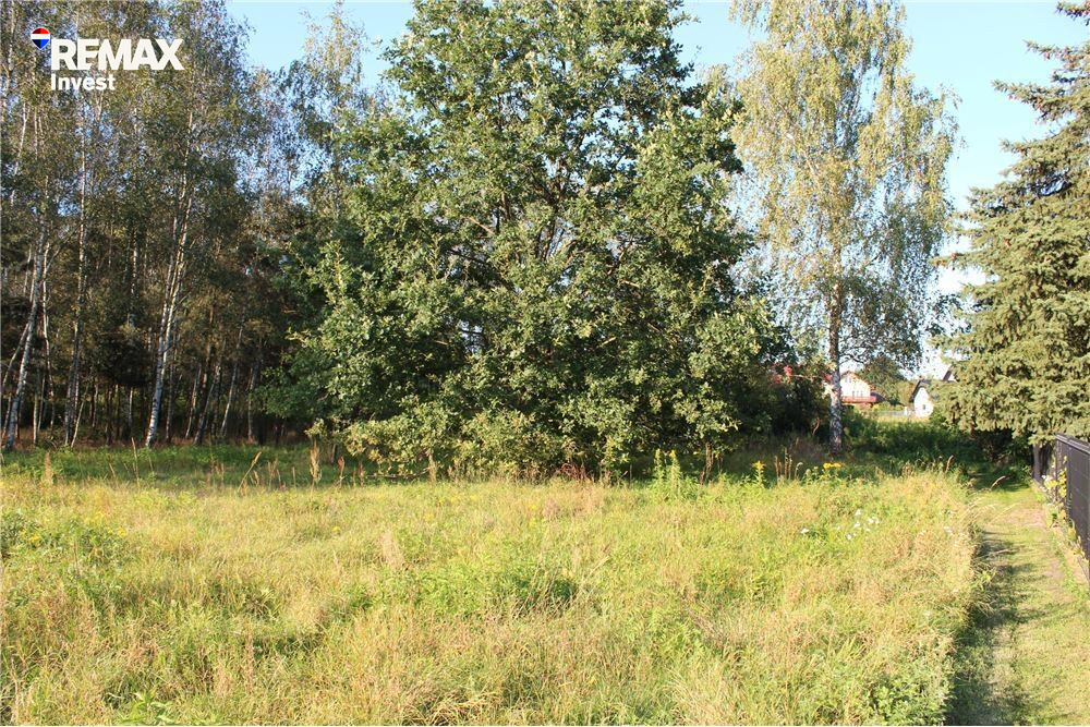 Zdjęcie 16