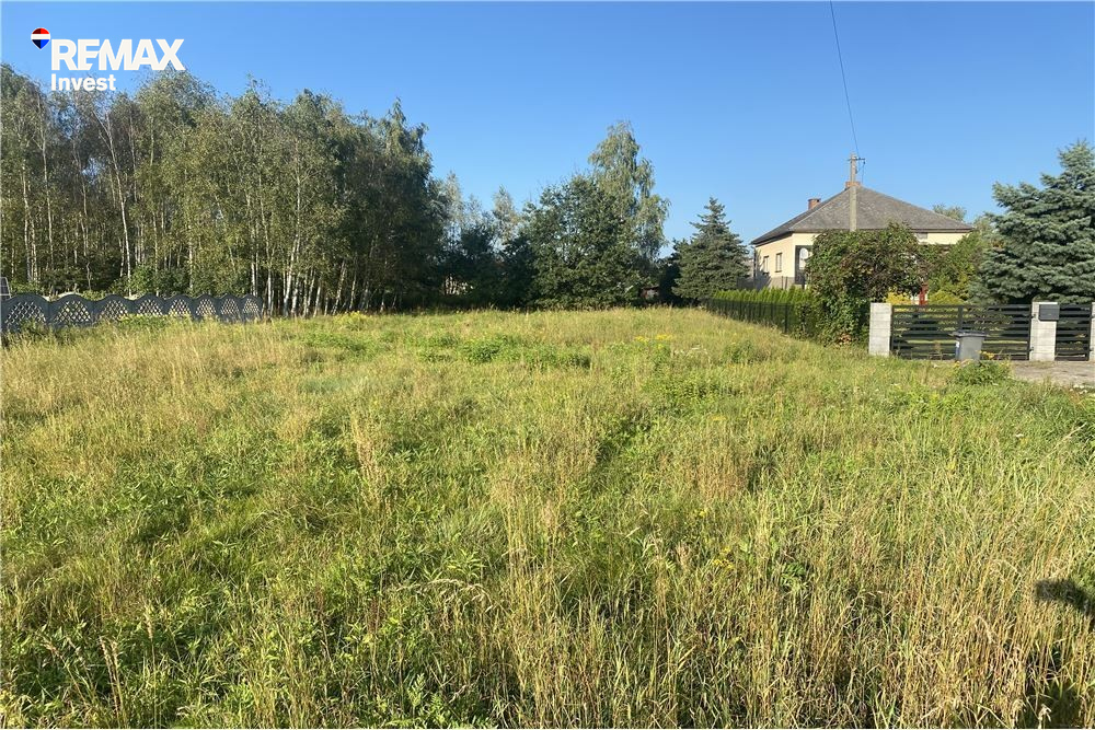 Zdjęcie 17
