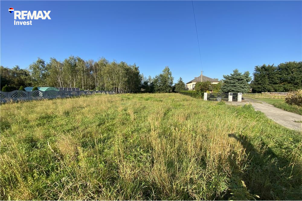 Zdjęcie 18