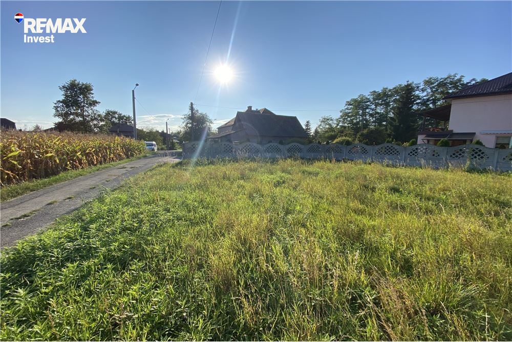 Zdjęcie 19