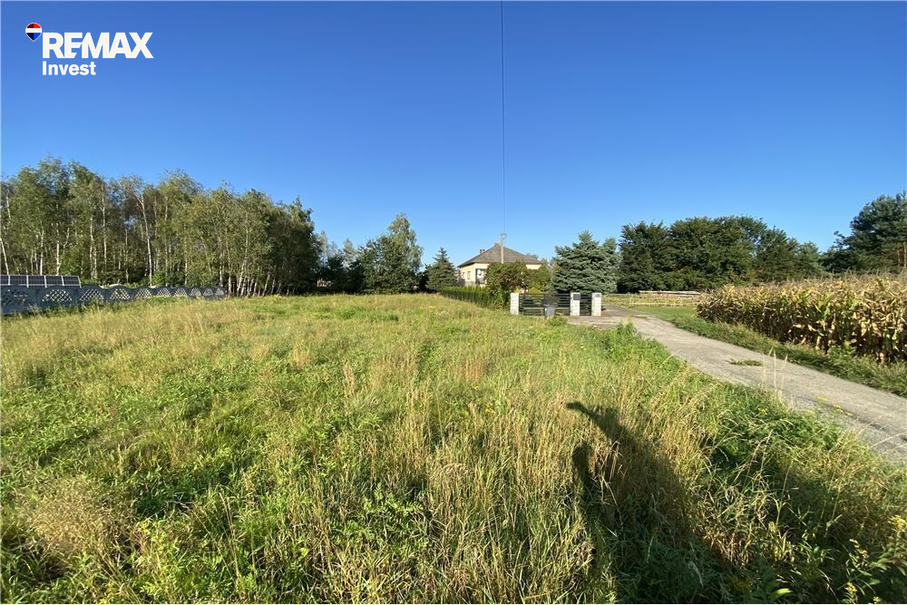 Zdjęcie 20