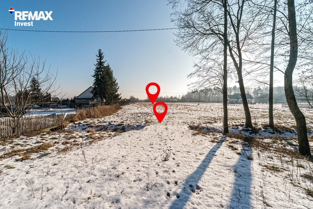 Zdjęcie 10