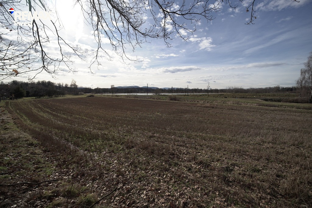 Zdjęcie 16