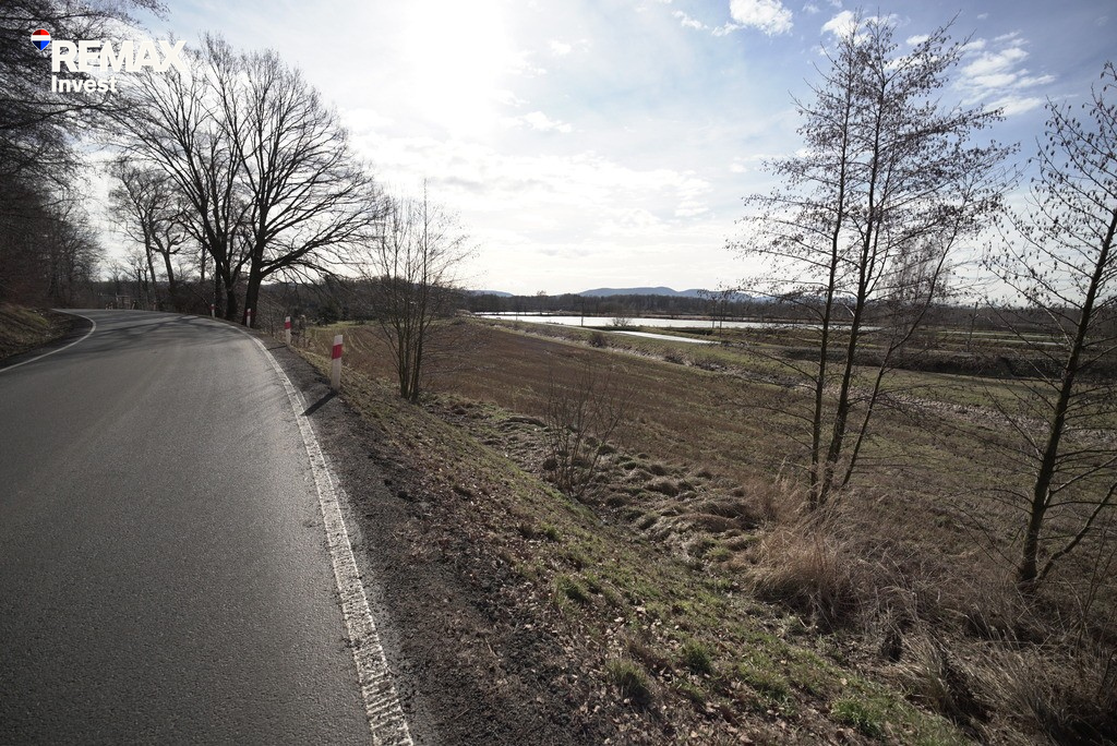 Zdjęcie 18