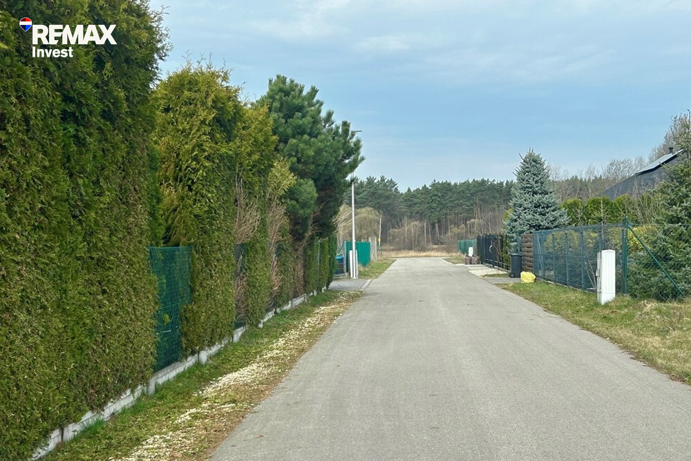 Zdjęcie 6