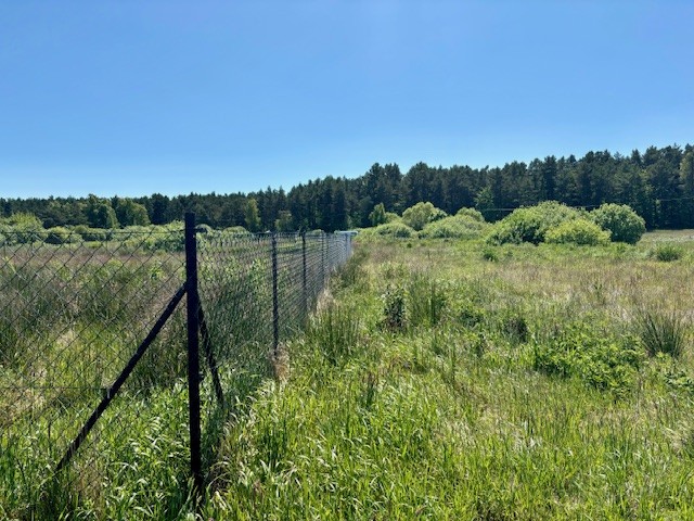Zdjęcie 5