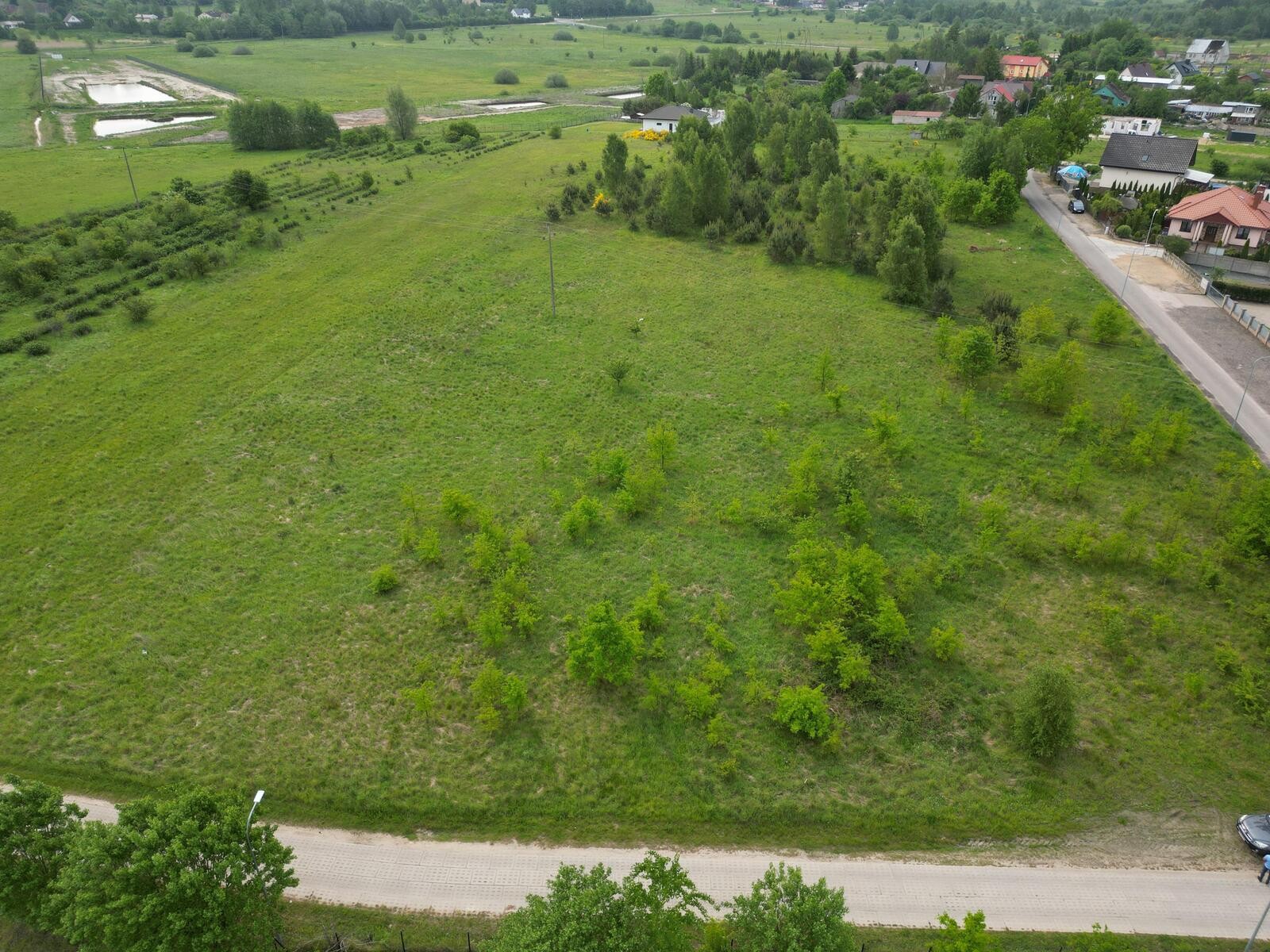 Zdjęcie 3