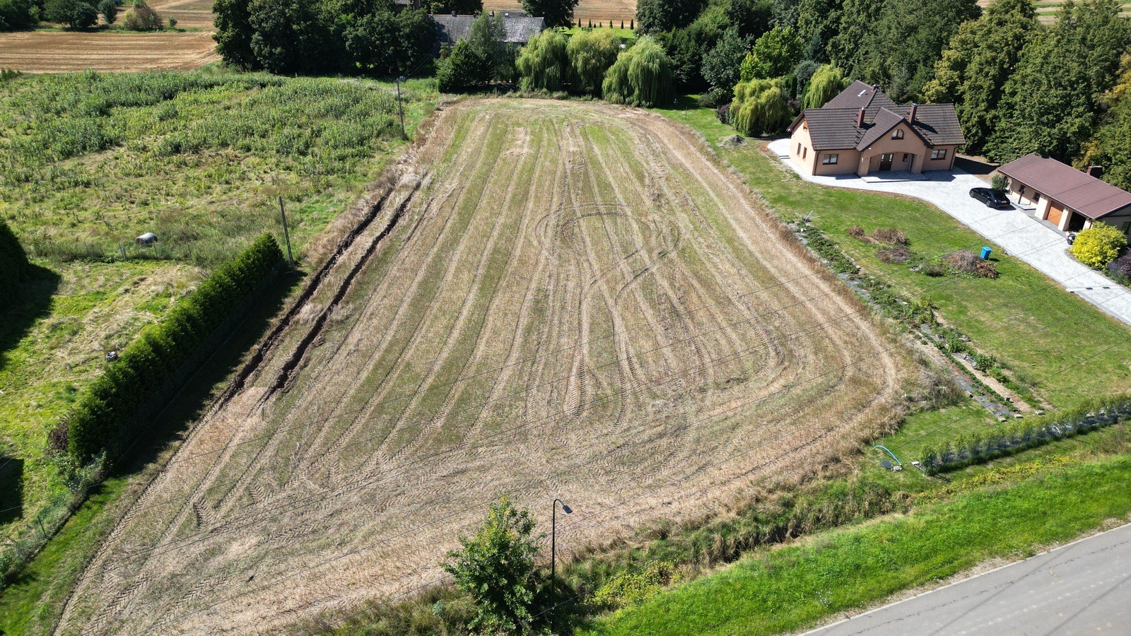 Zdjęcie 2