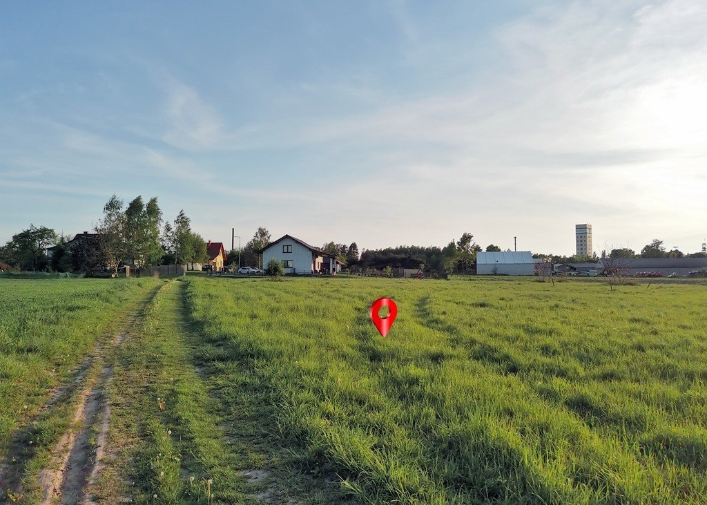 Zdjęcie 14