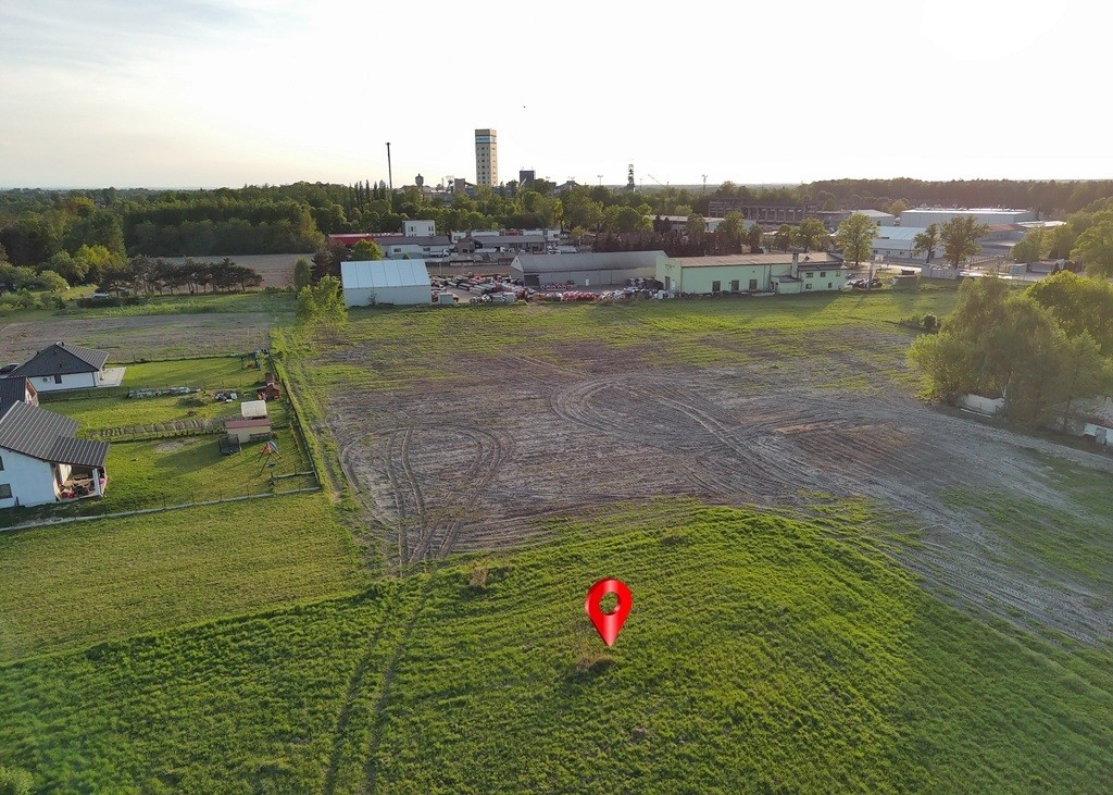 Zdjęcie 8