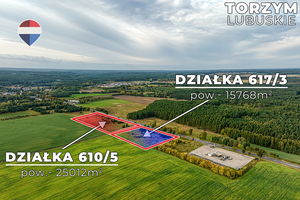 Zdjęcie 12