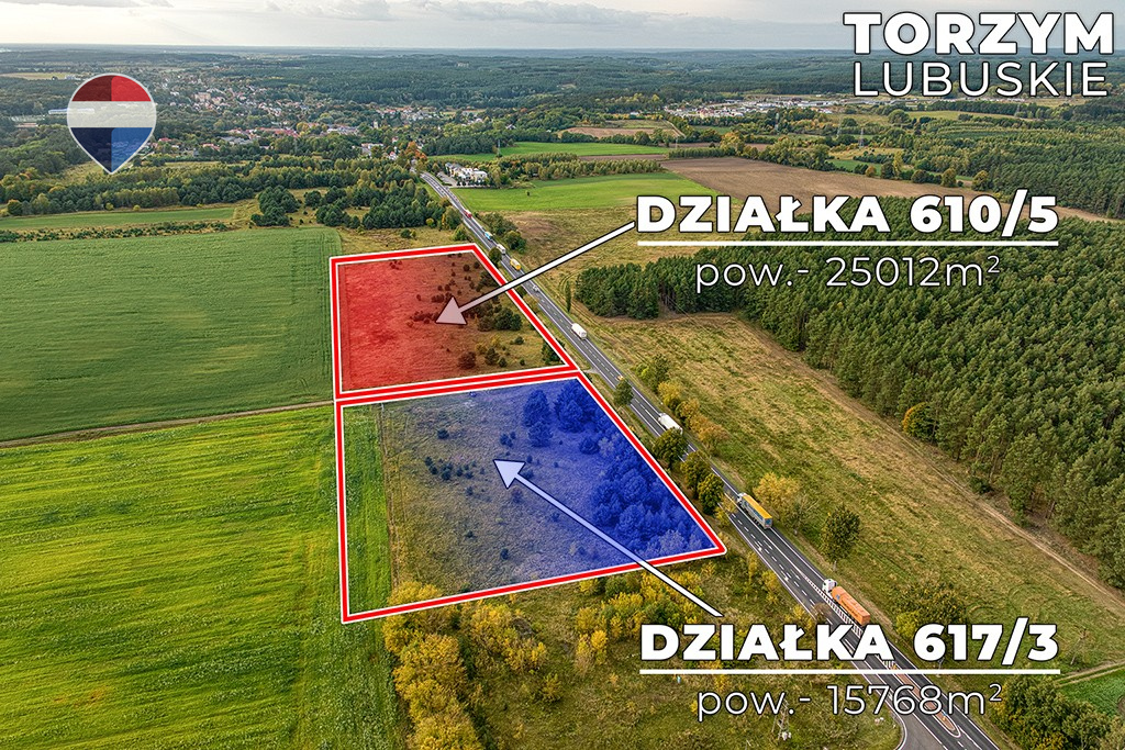 Zdjęcie 14