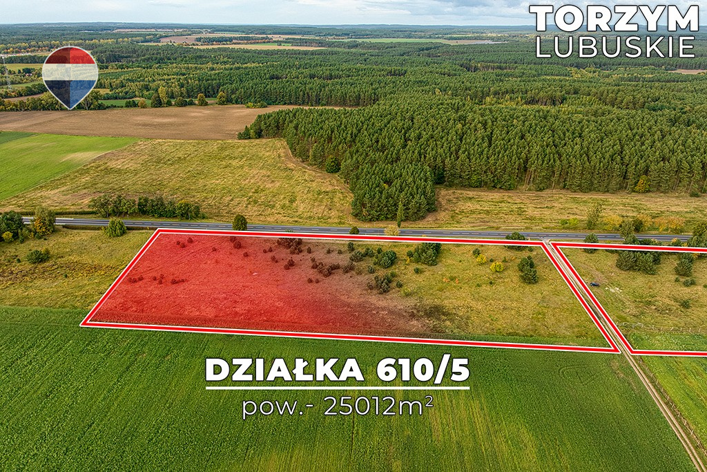 Zdjęcie 17