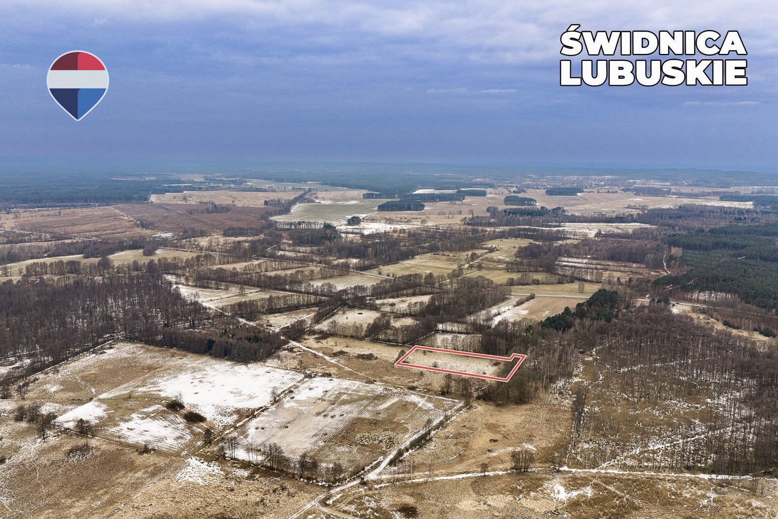 Zdjęcie 19